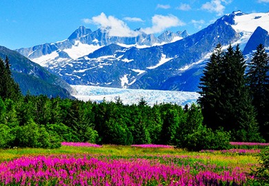 Mendenhall Glacier