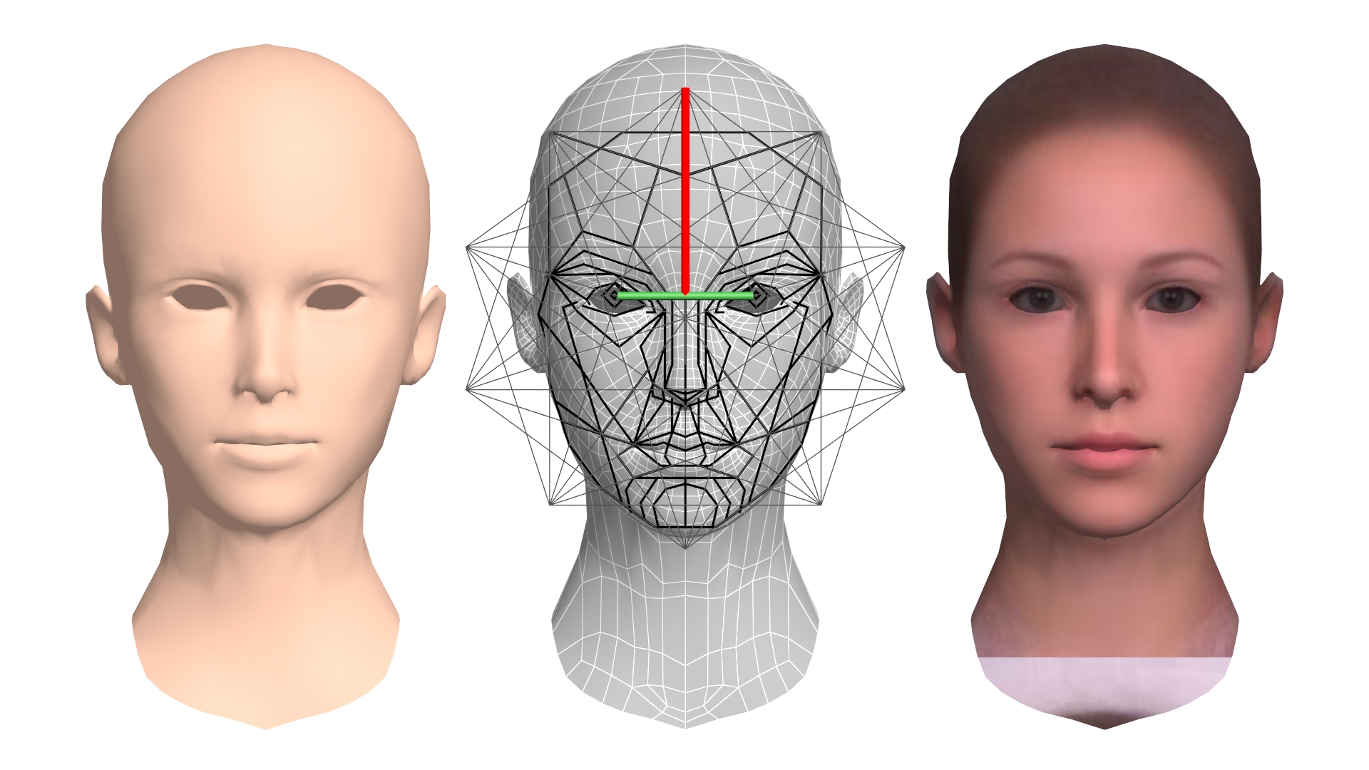 Fibonacci In Human Face