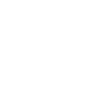 NDS