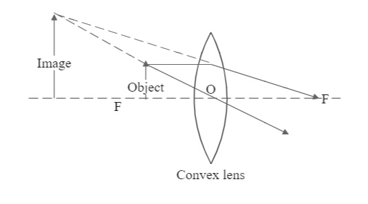 The position and size of the image formed by a convex lens when the ...