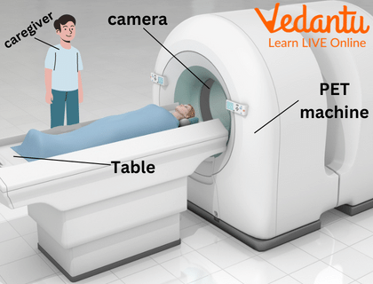 PET Scan