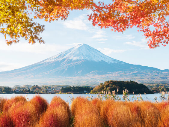 Mt Fuji