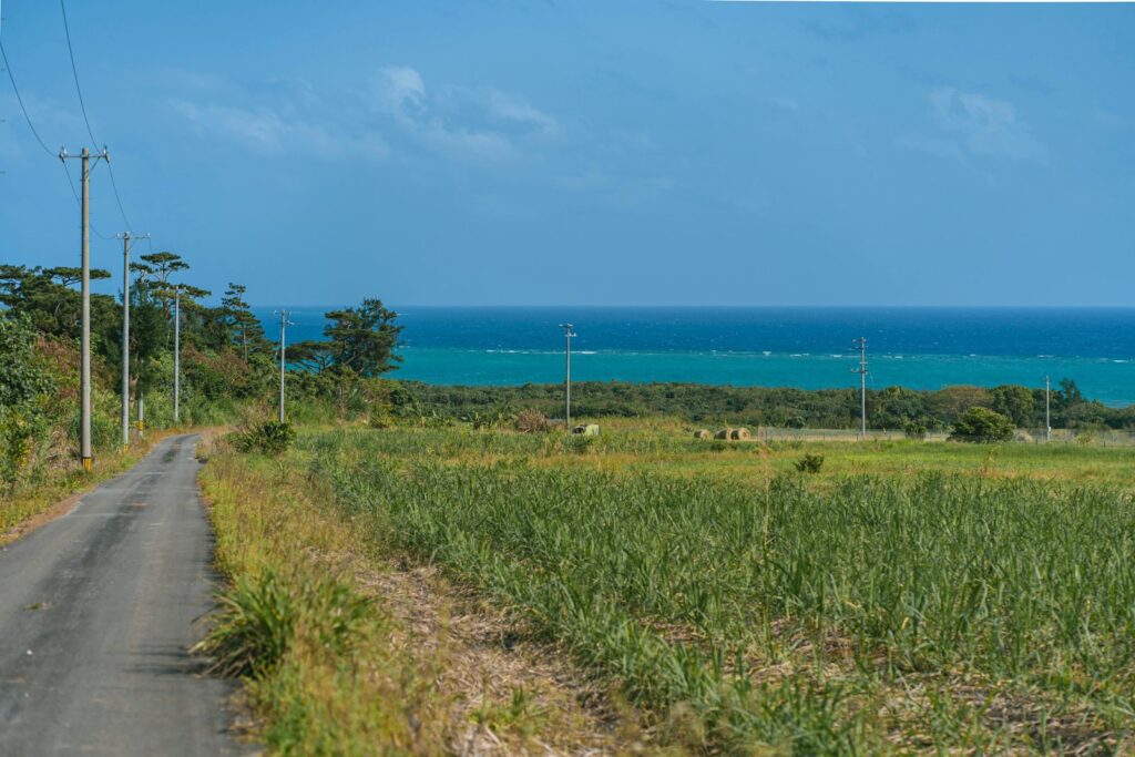 島の田園風景と海