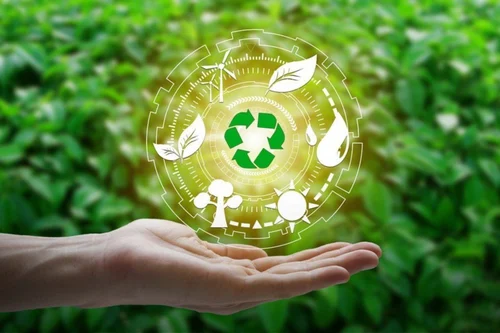 Leveraging Effective Waste Management Strategies for Environmental ...