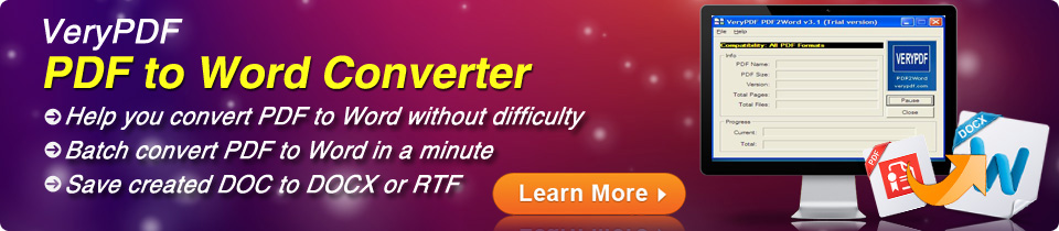 VeryPDF PDF to Word Converter
