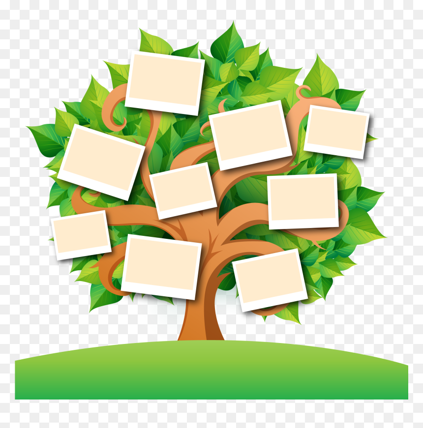 Family Tree Transparent Images Png - Family Tree Transparent Background ...