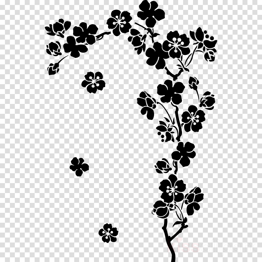 Download Black And White Cherry Blossom Tree Png, Transparent Png - vhv