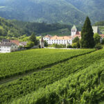 Vino dei monaci in degustazione a Fossanova