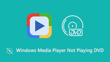 Windows Media Player Not Playing DVD