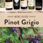 Pinot Grigio Wine Guide Pin