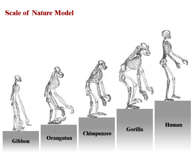 Charles Darwin III | Process of Science | Visionlearning