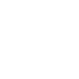 shopping cart