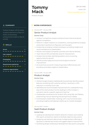 Product Analyst Resume Sample and Template