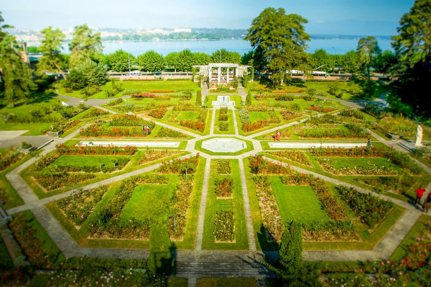 Rose garden of Parc de la Grange Geneva