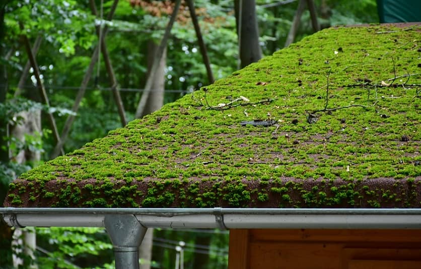 soft wash roof cleaning