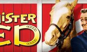 Mister Ed