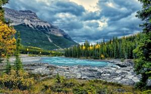 Athabasca River, Jasper National Park, Alberta, Canada, trees wallpaper thumb