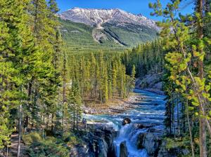 Sunwapta Falls, Jasper National Park, Alberta, Canada, trees wallpaper thumb