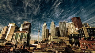 city buildings under blue sky