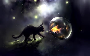 black cat and orange fish digital wallpaper, Apofiss, cat, goldfish, bubbles