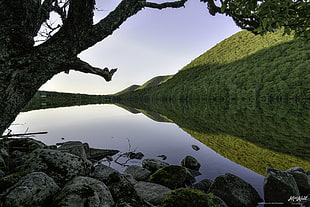 body of water near green mountain under blue sky during day time