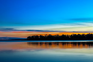 trees infront of body of water painting