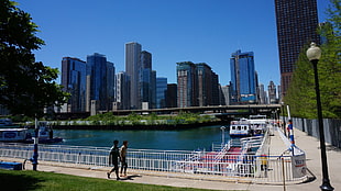 city buildings, Chicago, skyscraper, cityscape, USA