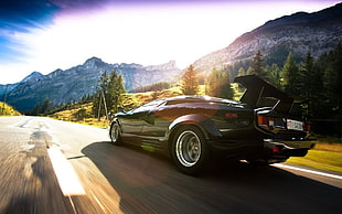 black coupe, Lamborghini Countach, Lamborghini