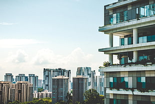 white-and-green concrete city buildings photo