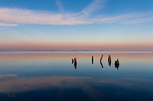 logs on surface of water under blue cloudy sky