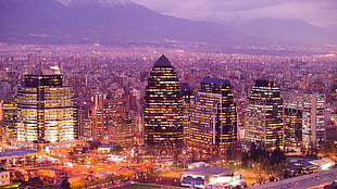 black and brown glass buildings during daytime