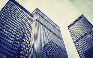 low angle photography of high rise buildings