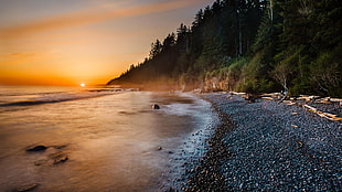 shoreline beside trees nature photography, nature, sunset, trees, landscape