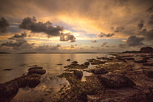 seashore under cloud covered blue sky