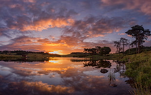 reflection photography of body of water beside trees