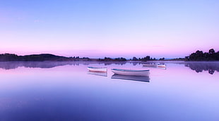 two canoe on lake near tree under blue sky during day time