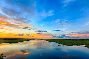 green grass field near body of water under the clear blue sky