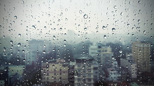 macro photography of water dew on glass window