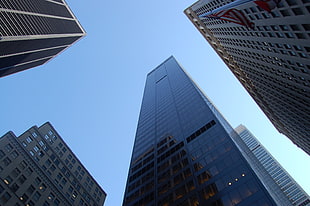 city, skyline, buildings, skyscrapers