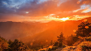 green leafed trees, landscape, mountains, trees, sun rays