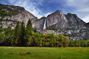 green tall trees on green grass field next to grey mountain under blue and white cloudy sky, yosemite national park