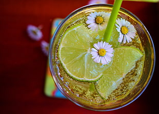 clear drinking glass, Cocktail, Lime, Ice