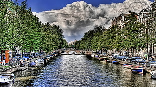 boats on river in the middle of green trees