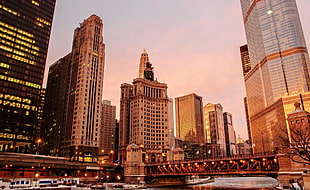 white skyscraper, cityscape, Chicago