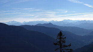 mountains and tree during daytime, nature, mountains, sky, landscape