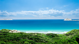 green grasses and body of water, sea, nature, sky, horizon