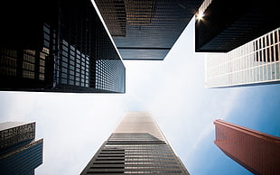 black and brown high-rise buildings, cityscape, architecture, building, skyscraper