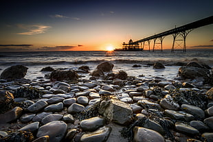 seashore photo during morning time