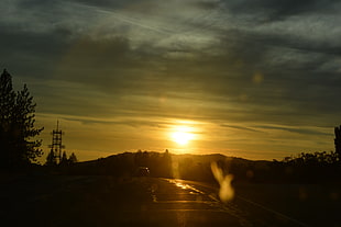 leafed trees, Sun, sunset, USA, trees