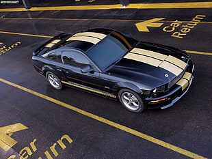 blue and white Ford Mustang GT coupe with dual racing stripes, car